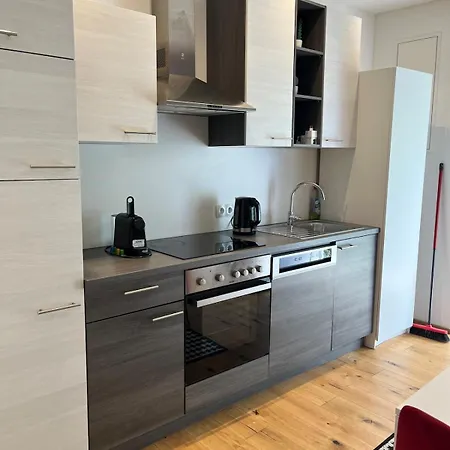 Modern - Zentral Apartman Graz
